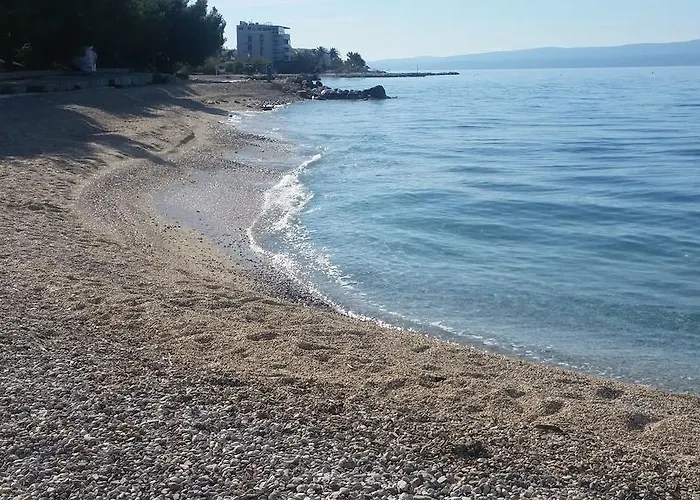 Daire Bevanda *